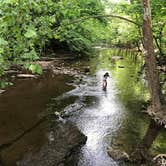 Review photo of Standing Stone State Park Campground by Sonyia W., September 8, 2020