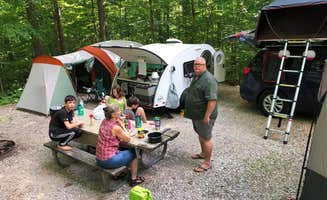 Sunny W.'s photo at Standing Stone State Park Campground near Dale Hollow Lake