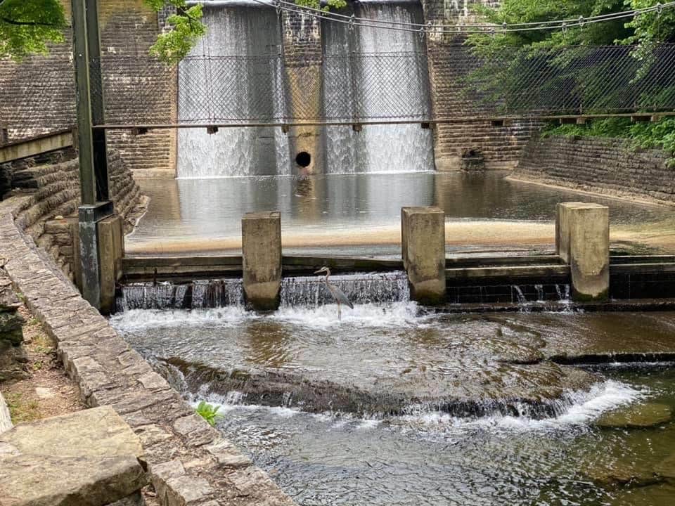 Camping near Old Mill Camp and General Store: Standing Stone State Park Campground, Allons, Tennessee