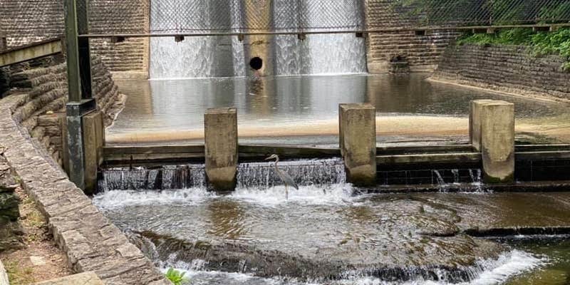 Camper submitted image from Standing Stone State Park Campground