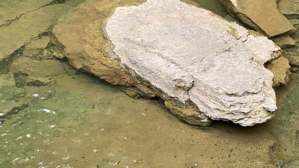 Camper-submitted photo at Standing Stone State Park Campground near Rickman, TN