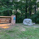 Review photo of Standing Stone State Park Campground by Sonyia W., September 8, 2020