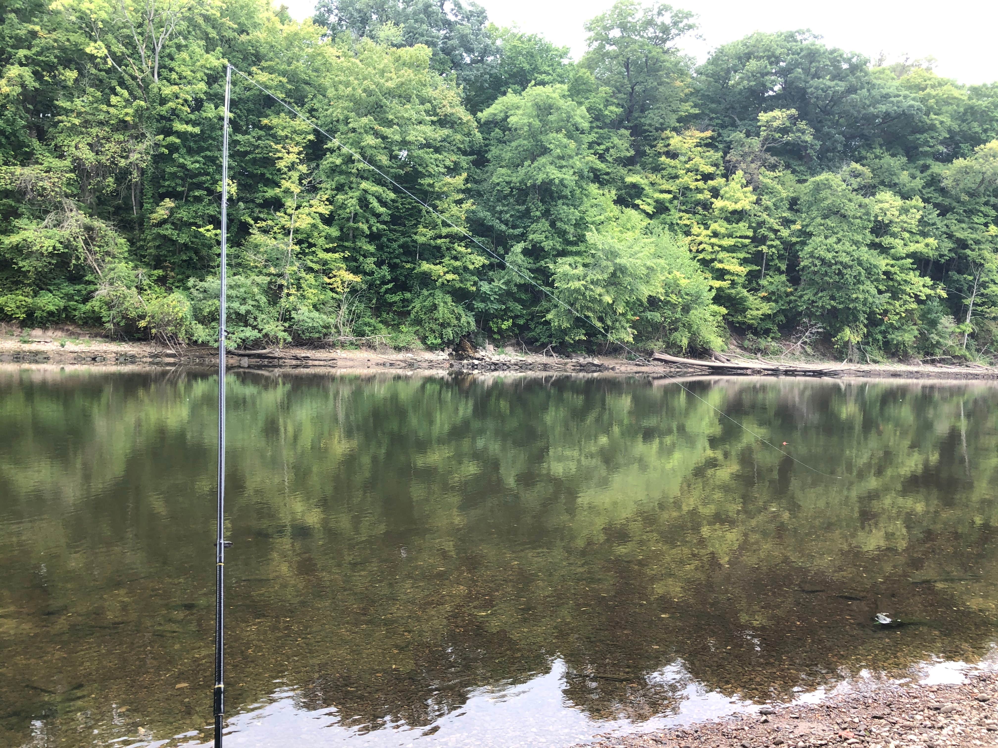 Camper-submitted photo at Shamrock Park near Niles, MI