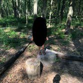 Review photo of Dunewood Campground — Indiana Dunes National Park by Katie J., September 8, 2020