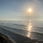 Review photo of Dunewood Campground — Indiana Dunes National Park by Katie J., September 8, 2020