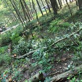 Review photo of Dunewood Campground — Indiana Dunes National Park by Katie J., September 8, 2020