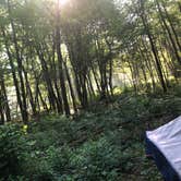 Review photo of Dunewood Campground — Indiana Dunes National Park by Katie J., September 8, 2020