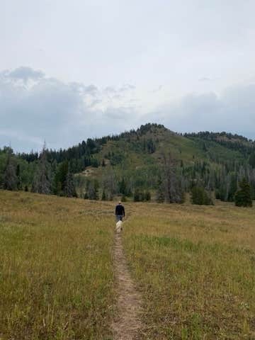 Camper submitted image from Hahns Peak Lake Campground - 4