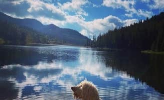 Rebeca H.'s photo of camping with pets at Hahns Peak Lake Campground near Hayden, CO