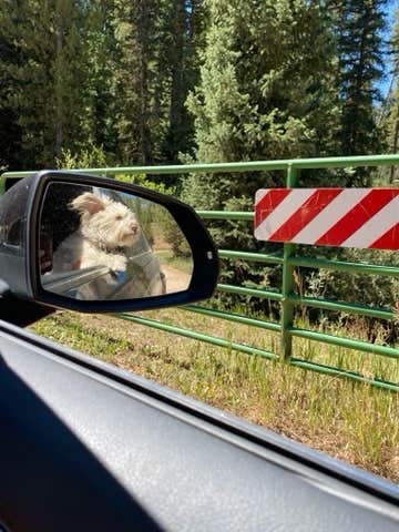 Camper-submitted photo at Hahns Peak Lake Campground near Slater, CO