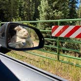 Review photo of Hahns Peak Lake Campground by Rebeca H., September 8, 2020