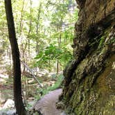 Review photo of Cloudland Canyon State Park Campground by Sonyia W., September 8, 2020