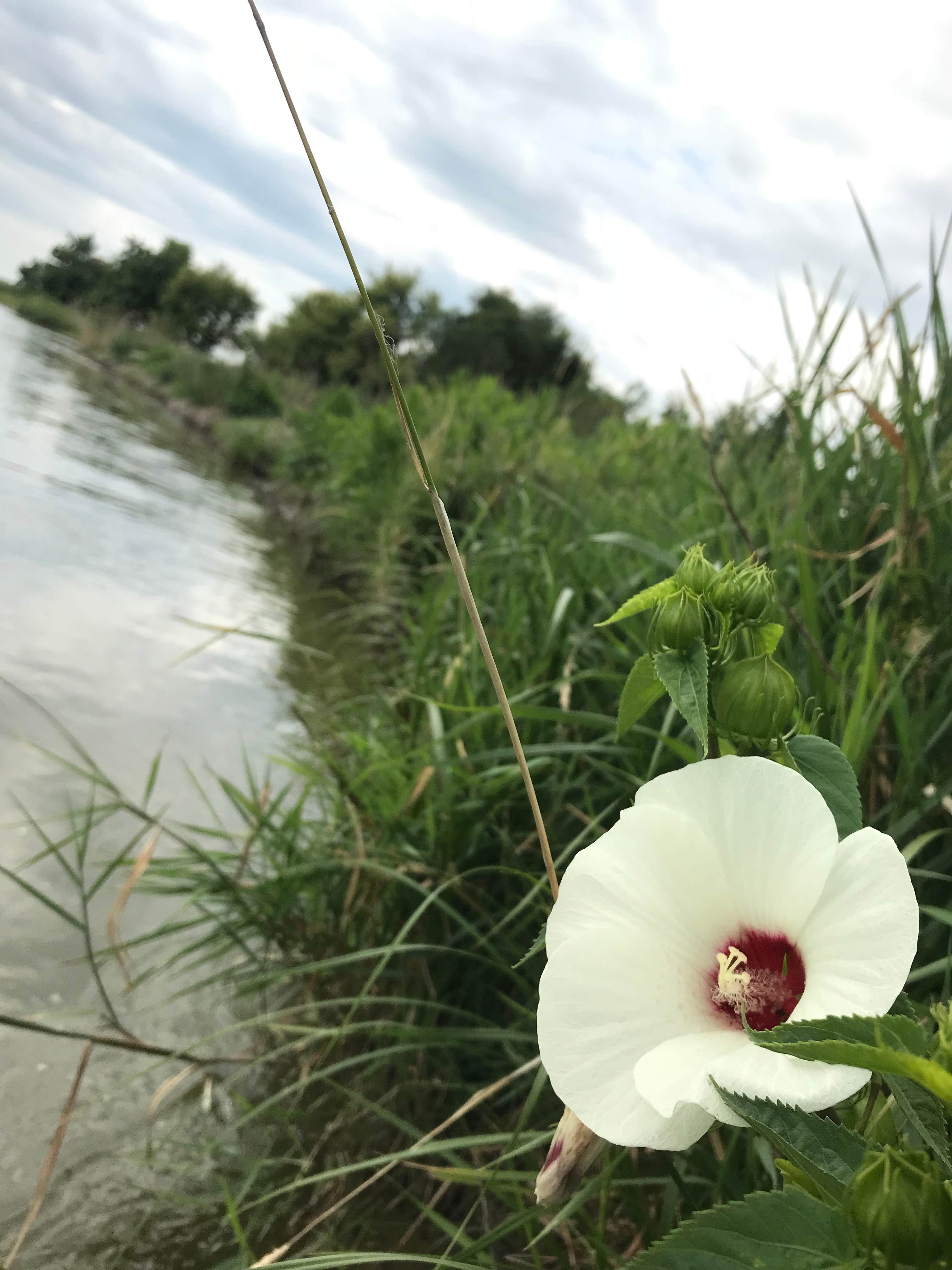 Camper-submitted photo at Tooley Park Campground near Alda, NE