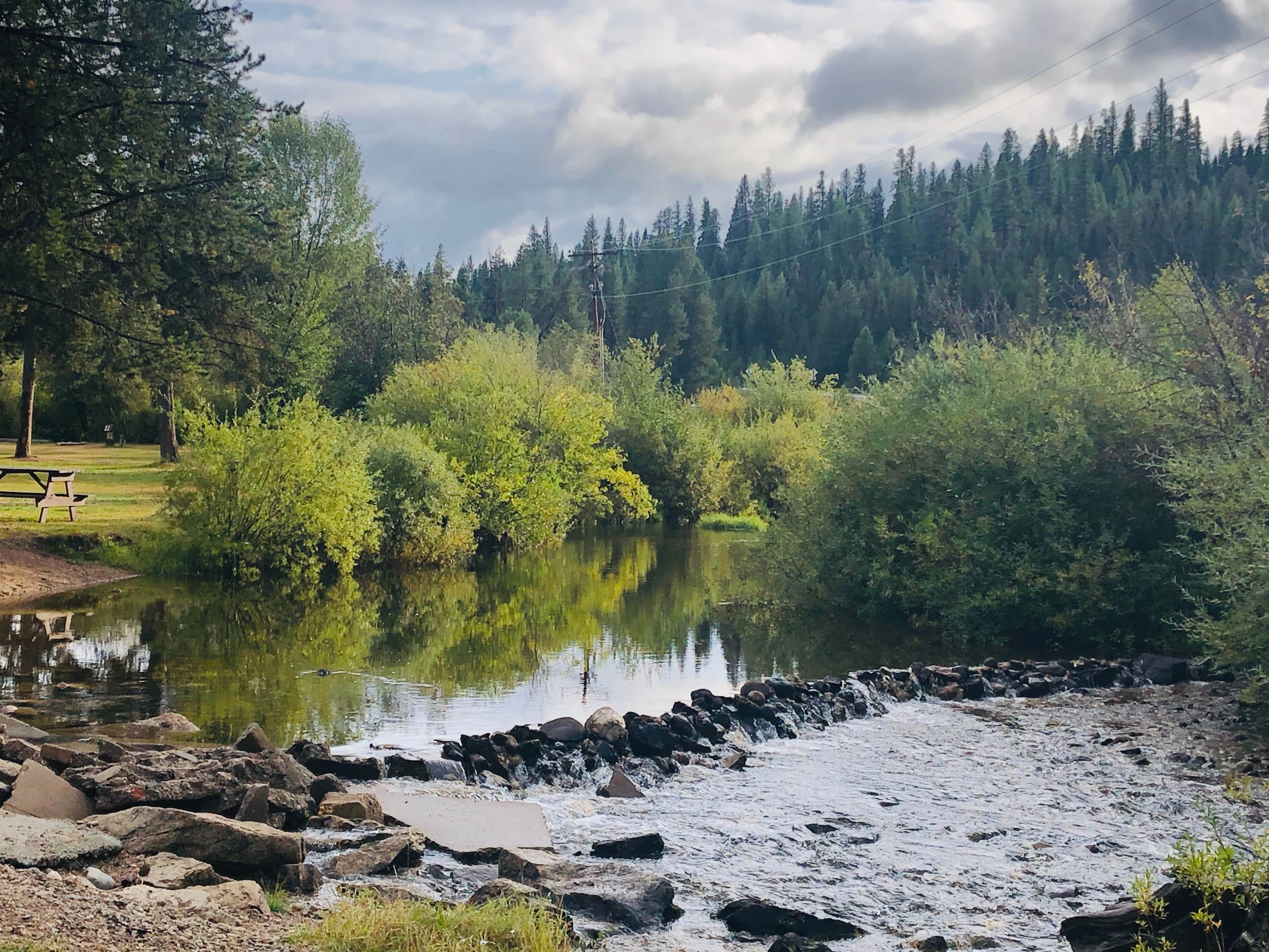 Camper submitted image from Lolo Hot Springs Campground - 5