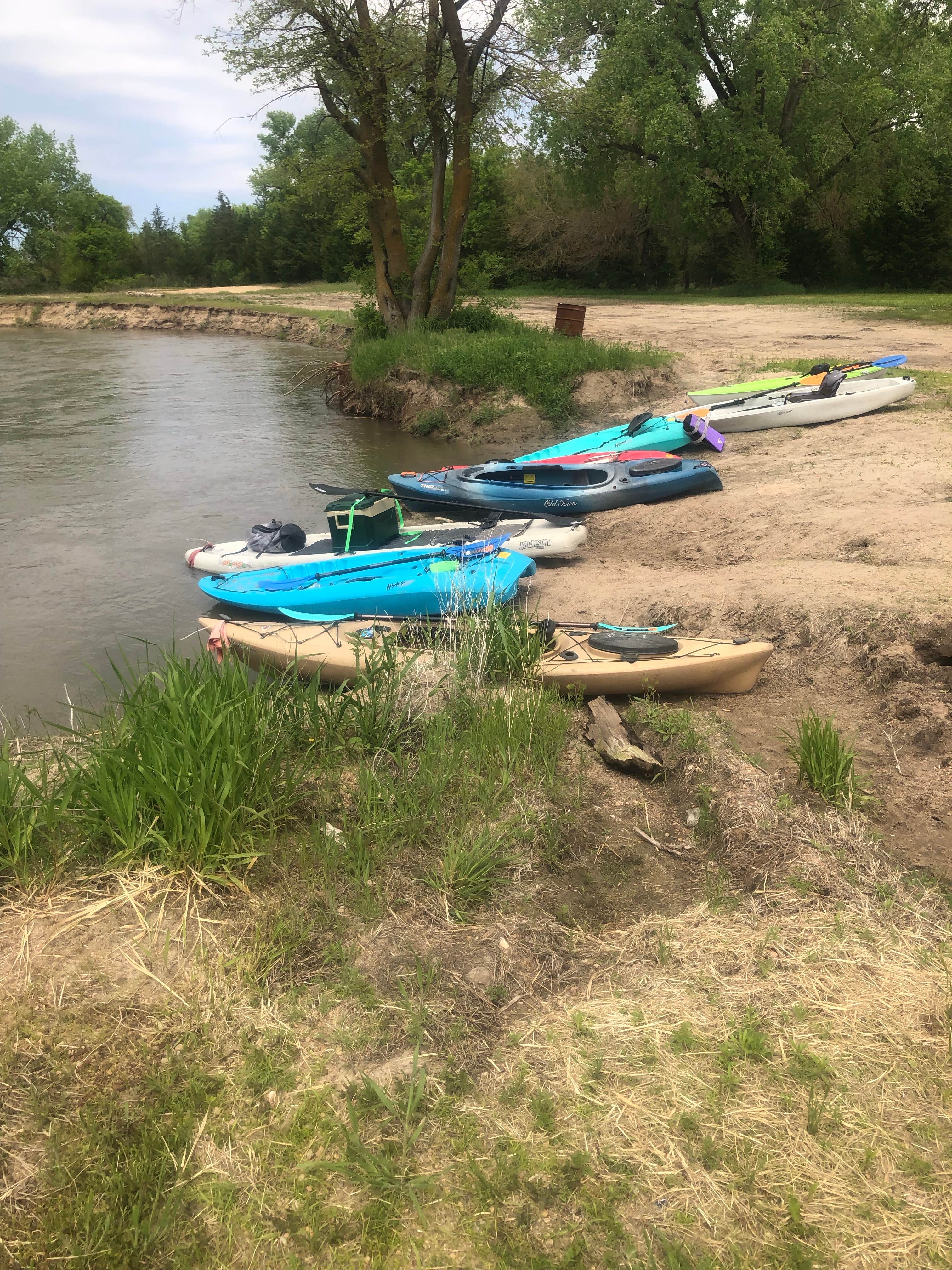 Camper submitted image from Tooley Park Campground - 3