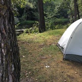 Review photo of D N Campground by Janet R., September 8, 2020