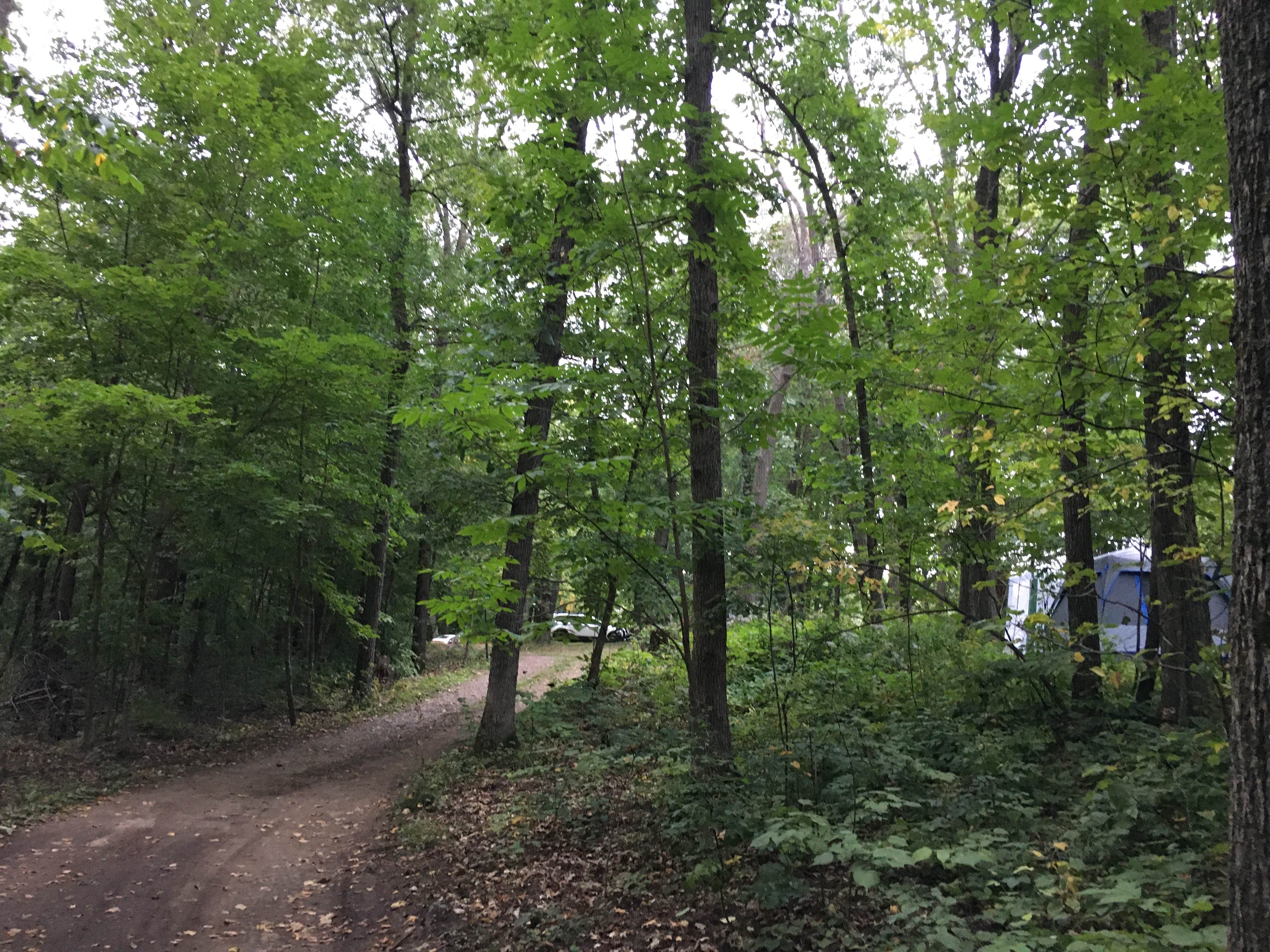 Camper submitted image from D N Campground - 4