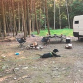 Review photo of Dingmans Campground — Delaware Water Gap National Recreation Area by christina , September 8, 2020