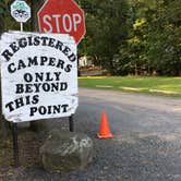 Review photo of D N Campground by Janet R., September 8, 2020