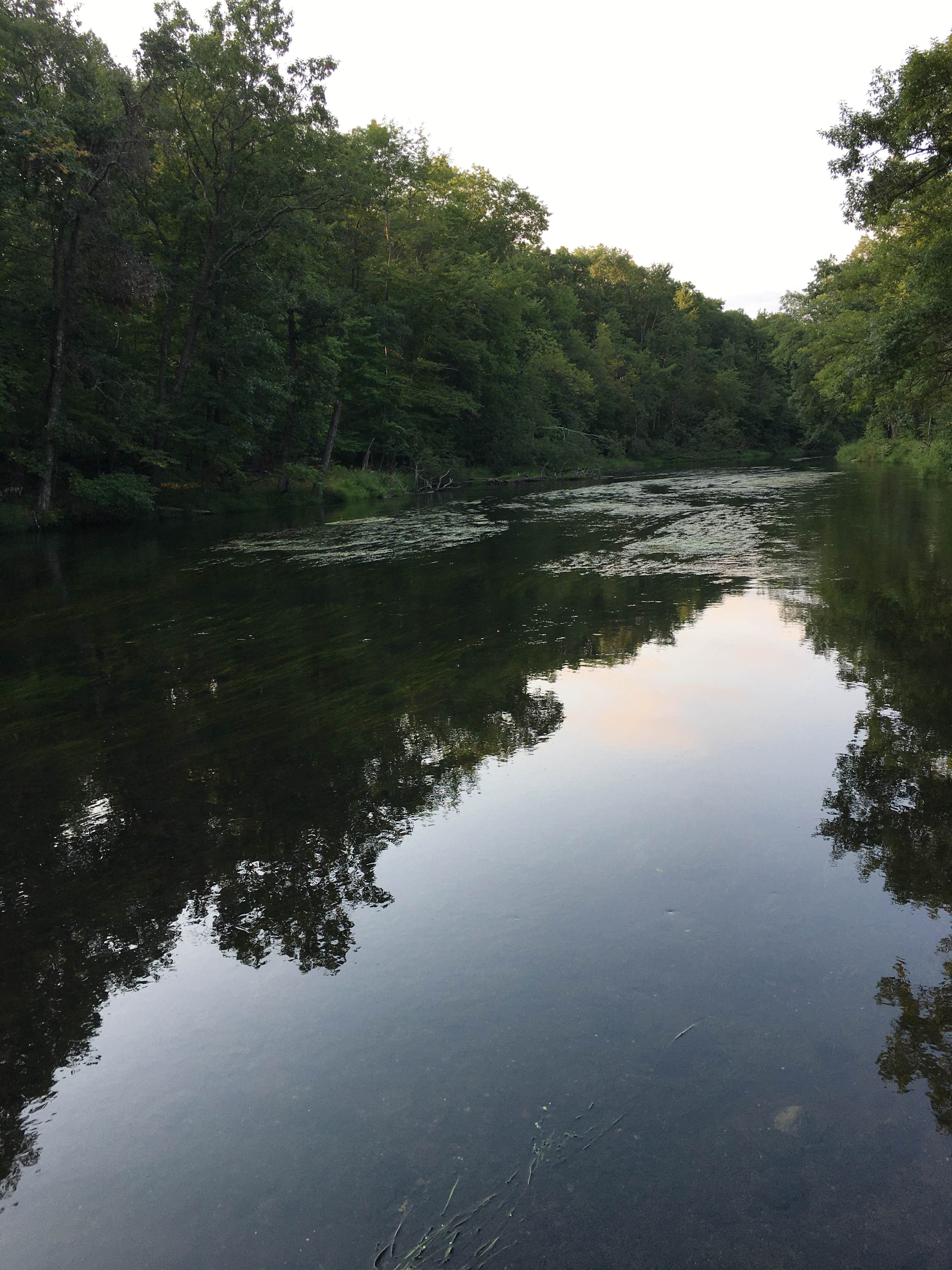 Camper-submitted photo at D N Campground near Amery, WI
