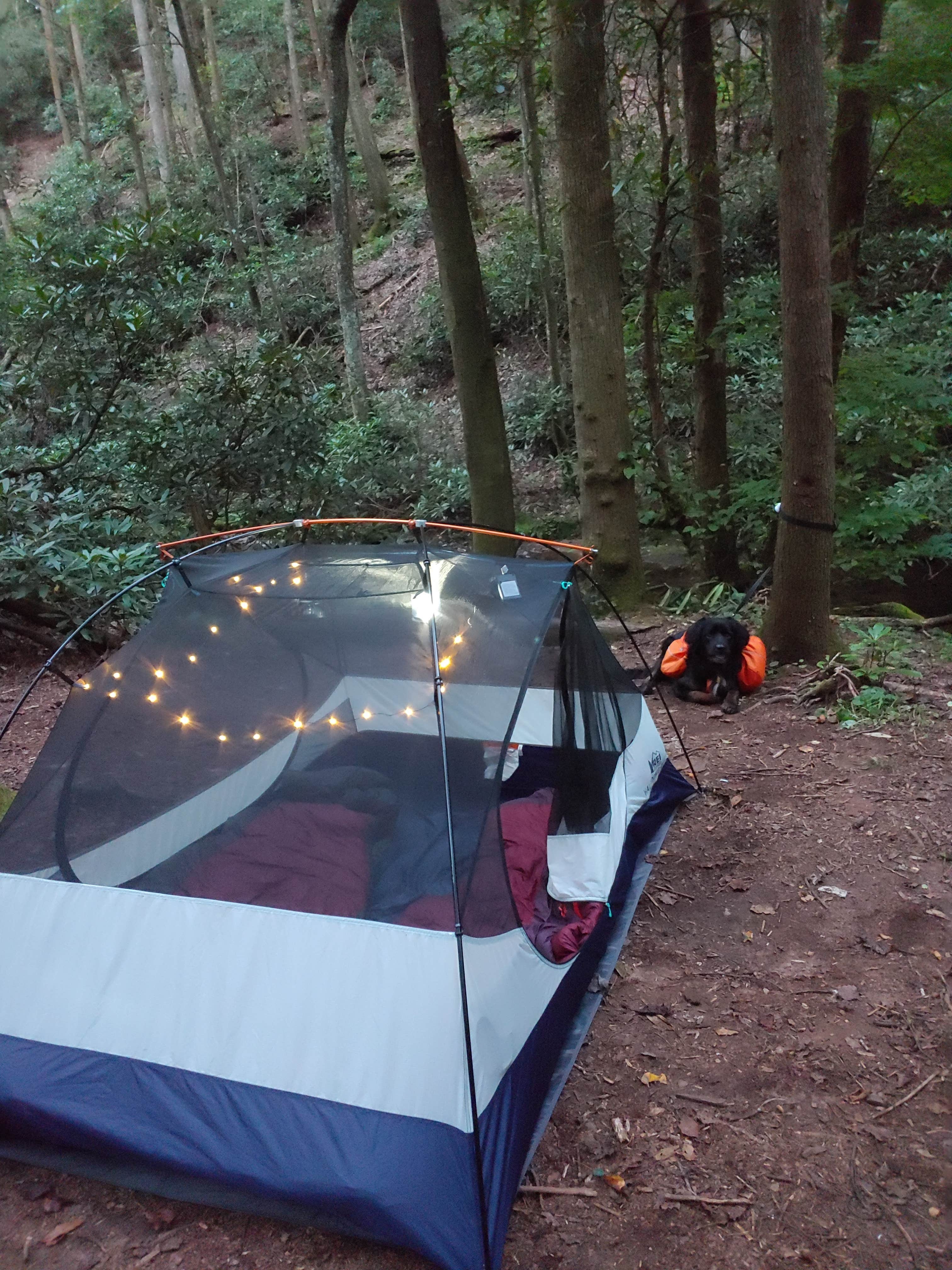 Breana W.'s photo of tent camping at Raven Cliff Falls near Mineral Bluff, GA