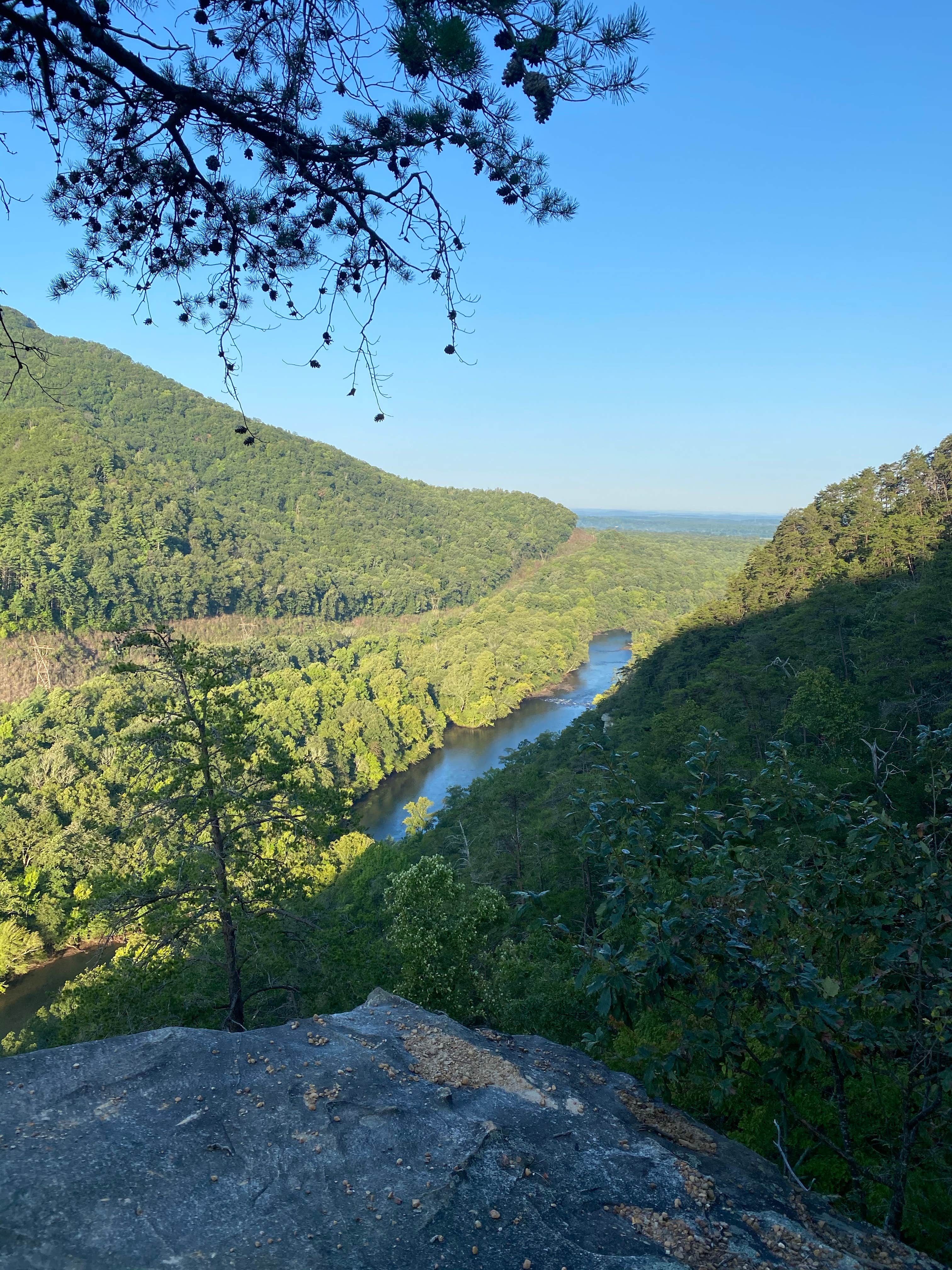 Camper-submitted photo at Starr Mountain Area near Farner, TN