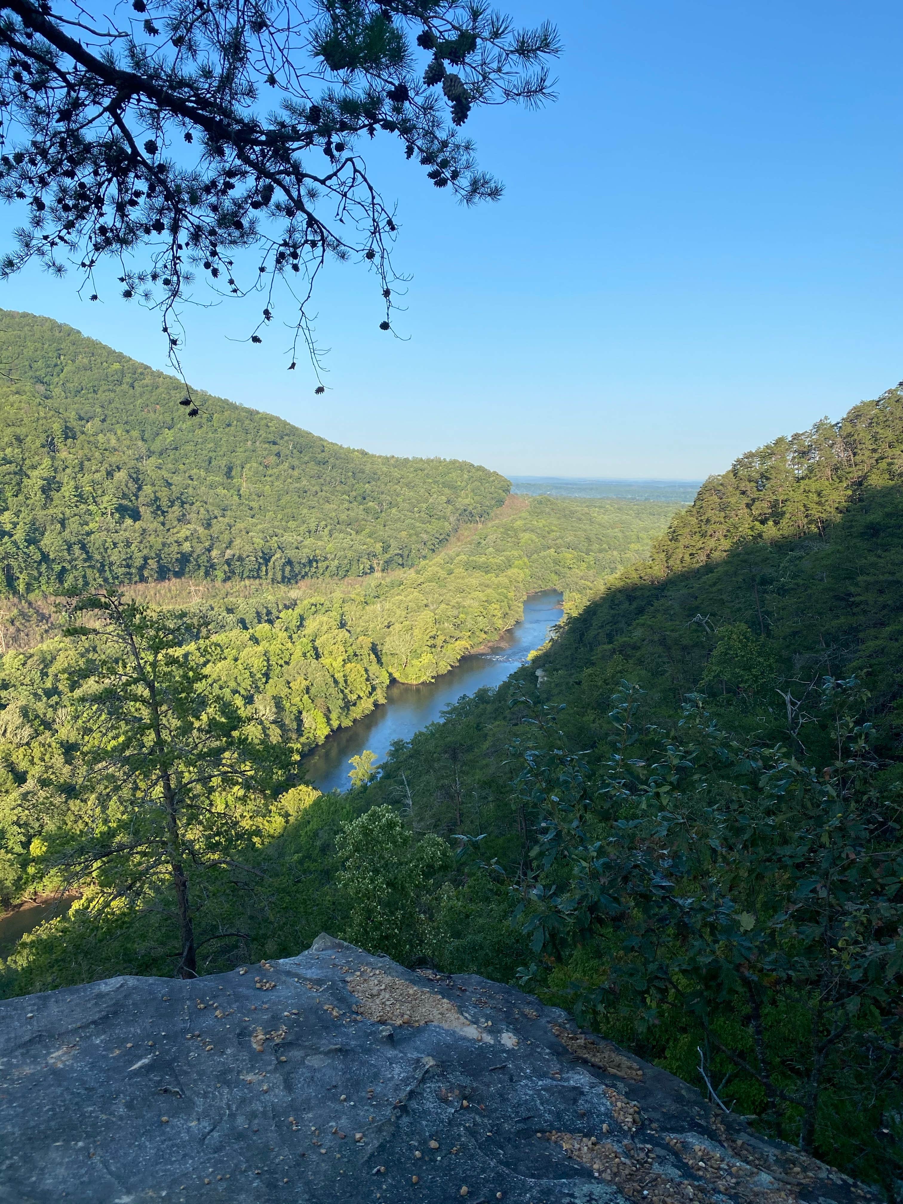 Camper-submitted photo at Starr Mountain Area near Farner, TN
