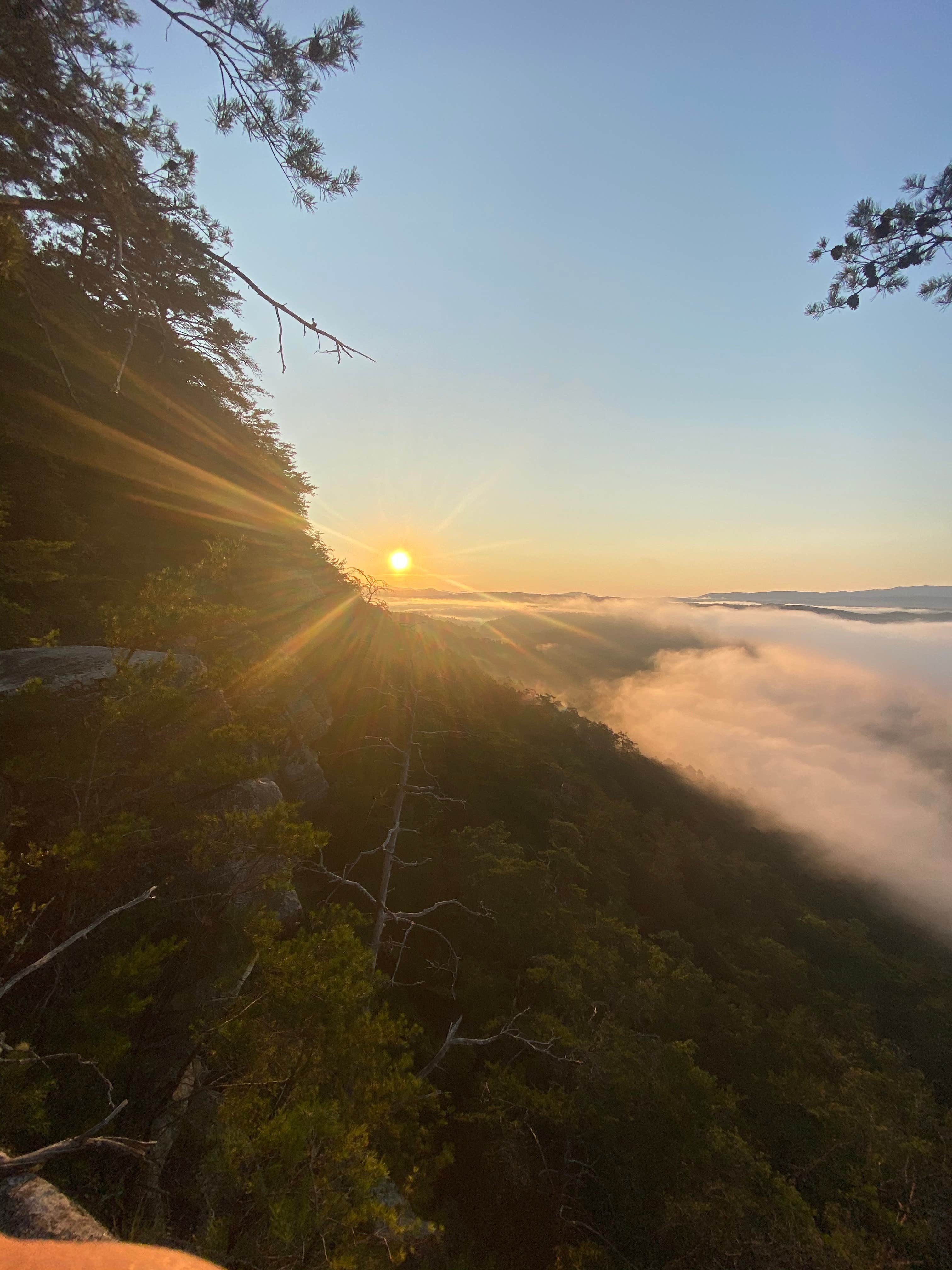 Camper-submitted photo at Starr Mountain Area near Farner, TN