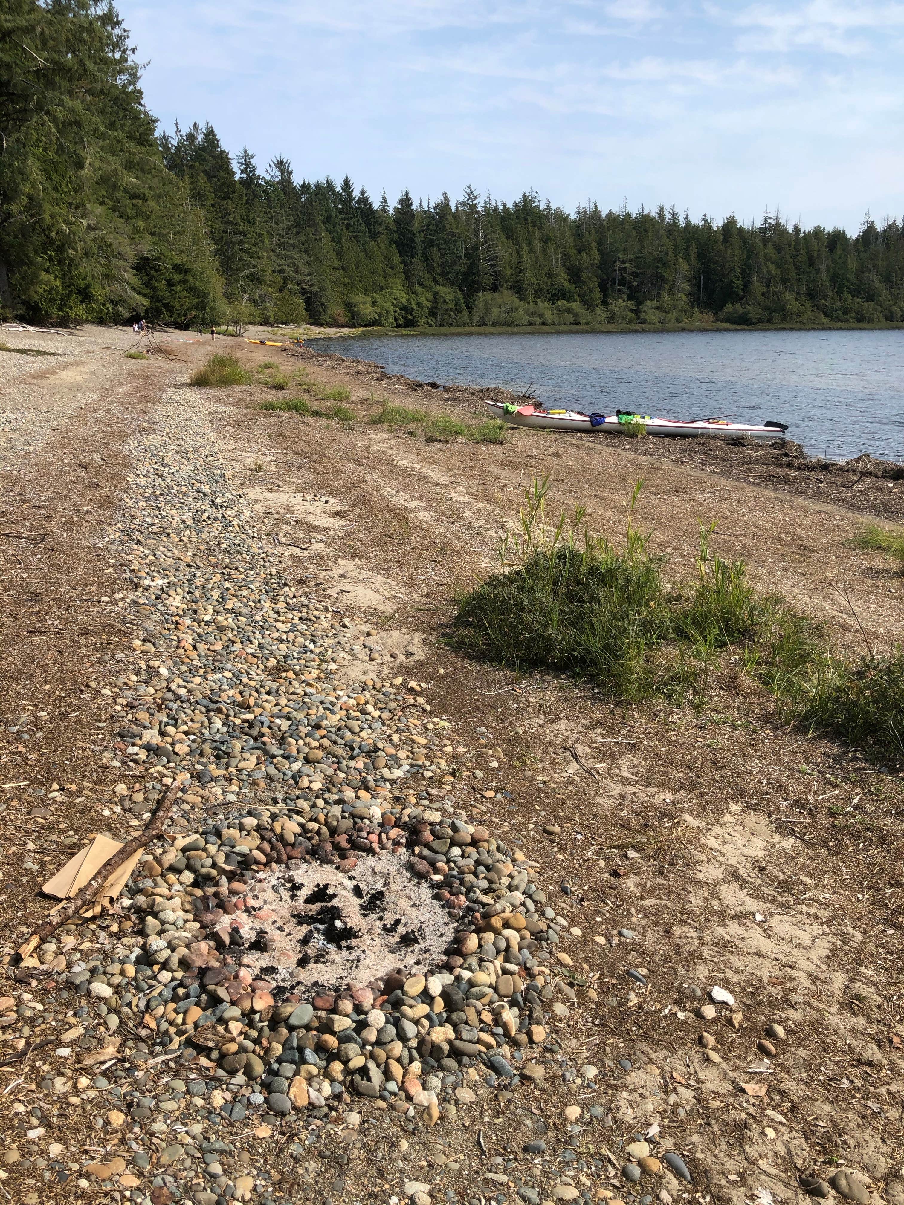 Camper-submitted photo at Ericsons Bay — Olympic National Park near La Push, WA