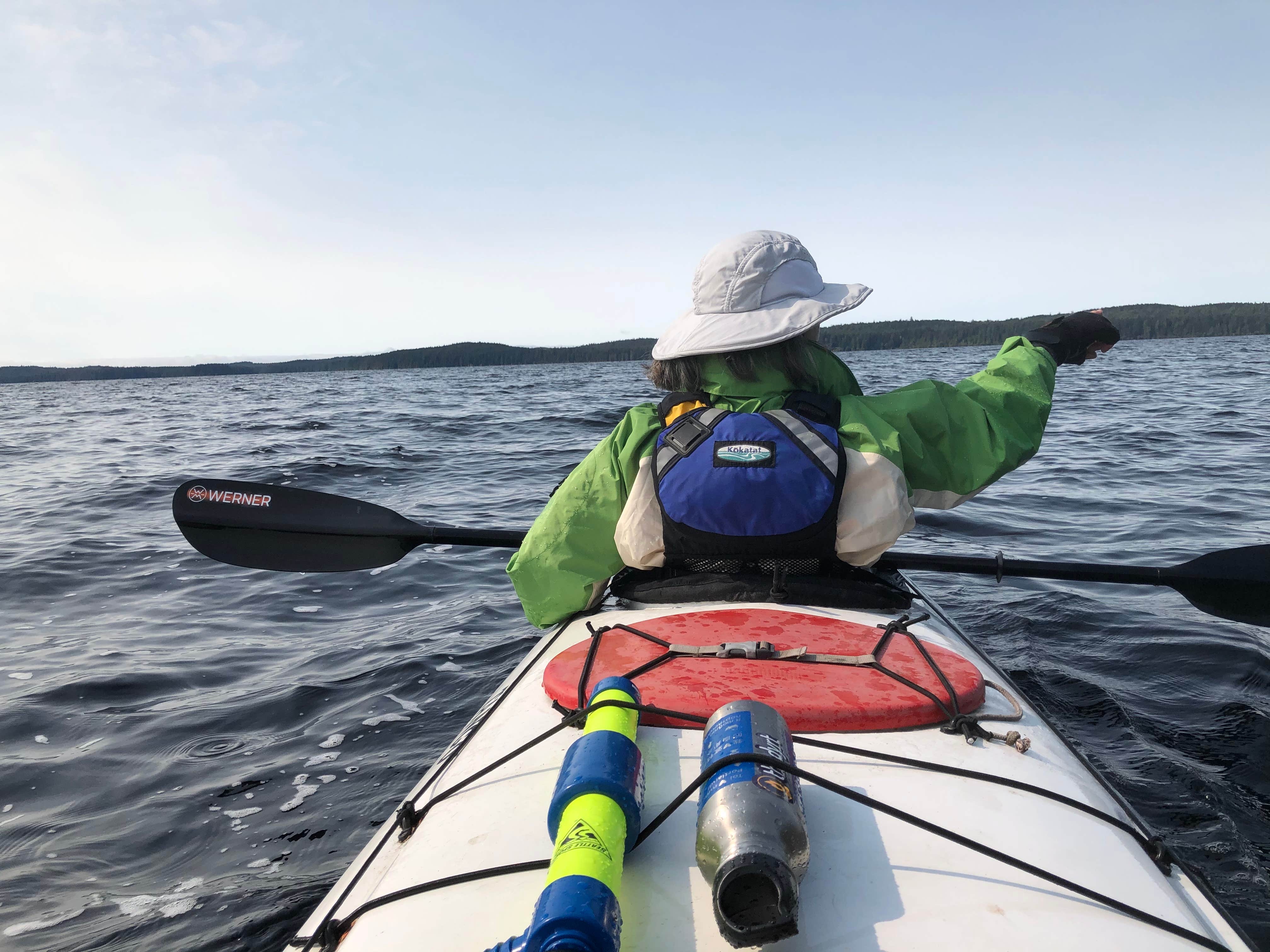Camping near Ozette Campground — Olympic National Park: Ericsons Bay — Olympic National Park, La Push, Washington