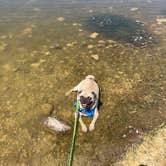 Review photo of Dogtown Lake Campground And Group by Overland Pioneer ⛺., September 8, 2020