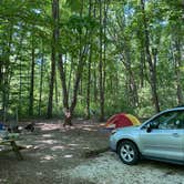 Review photo of Mill Creek Camping — Berlin Lake Wildlife Area by Katie , September 8, 2020