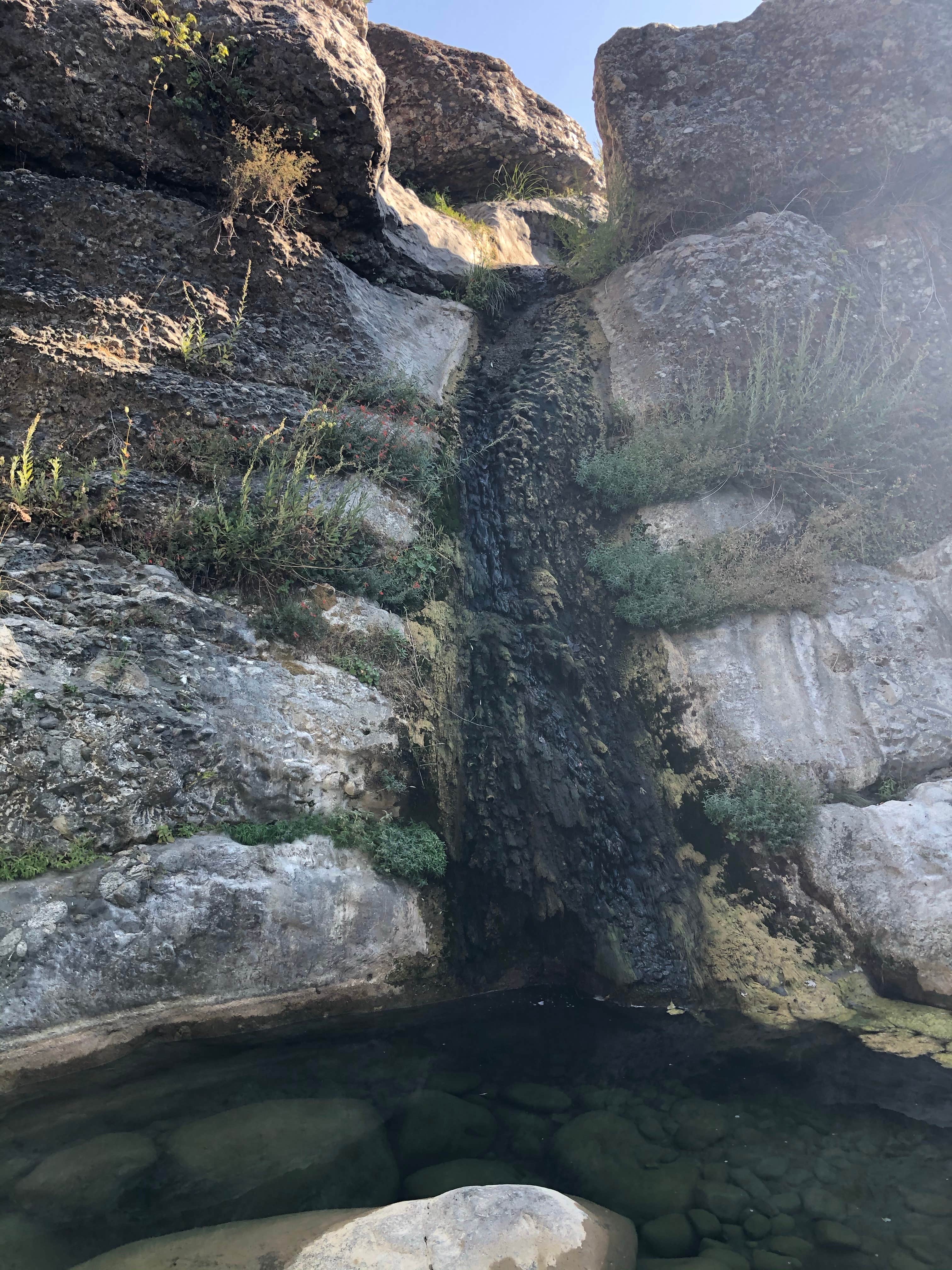 Camper-submitted photo at Gould Mesa Trail Campground near Alhambra, CA