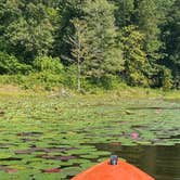 Review photo of Lake Hope State Park Campground by Katie , September 8, 2020