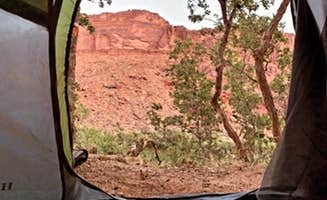 Jordan N.'s photo at Drinks Canyon Campground near Castle Valley, UT