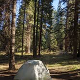 Review photo of Ochoco Divide Group Site by Jessica , September 8, 2020