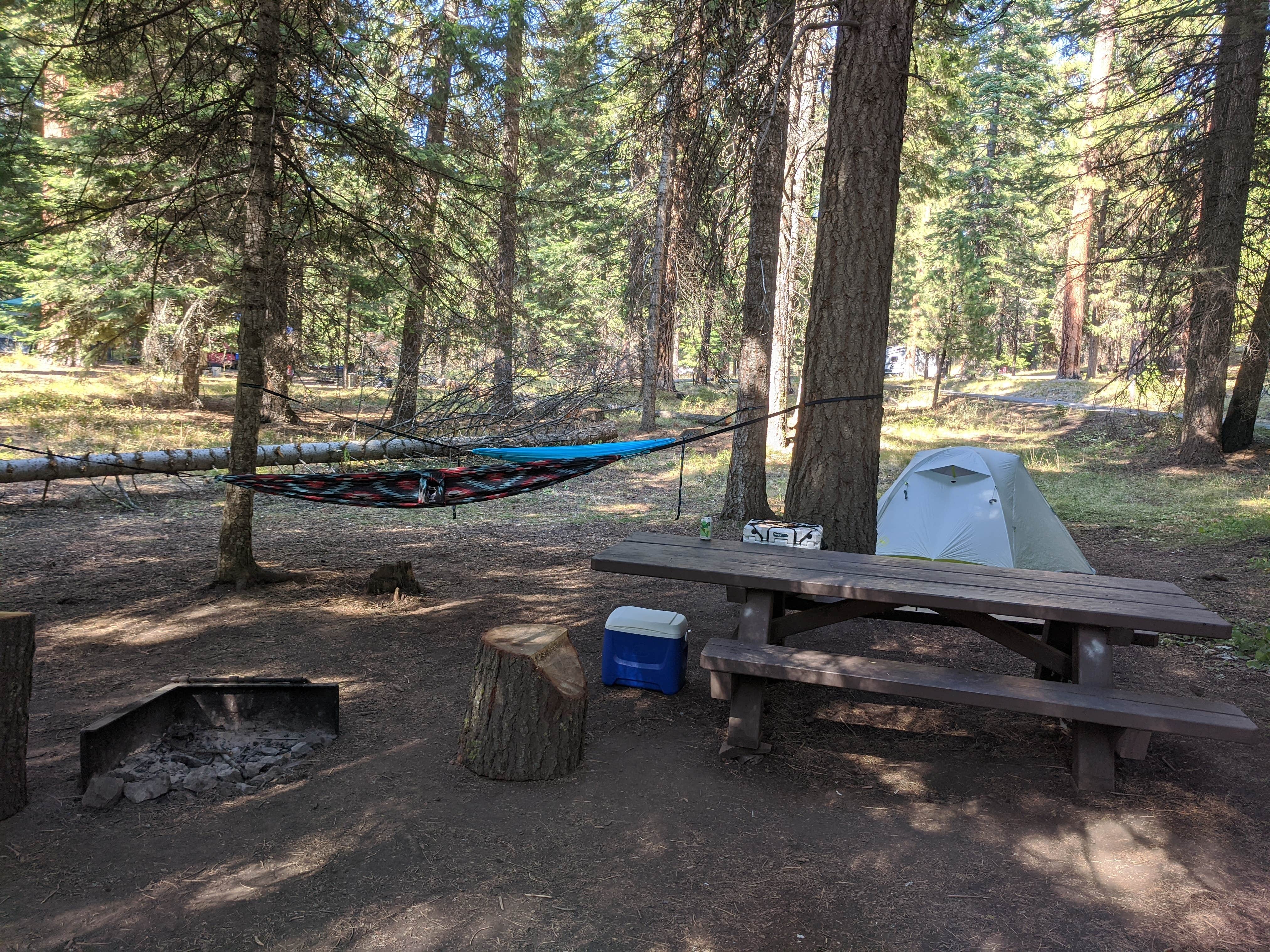 Jessica's photo at Ochoco Divide Group Site near Central Oregon