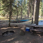 Review photo of Ochoco Divide Group Site by Jessica , September 8, 2020
