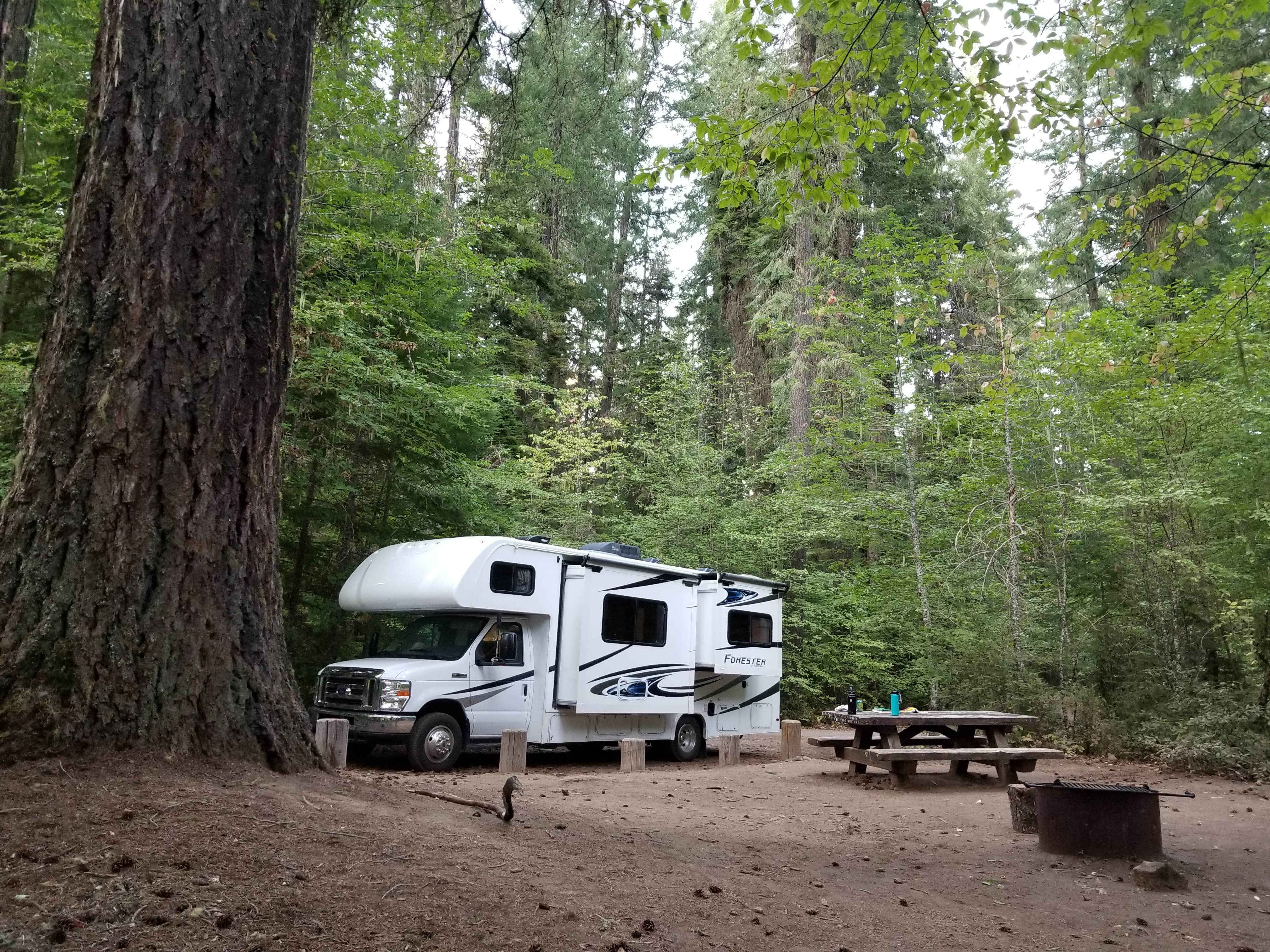 Camper-submitted photo at Natural Bridge Campground near Prospect, OR