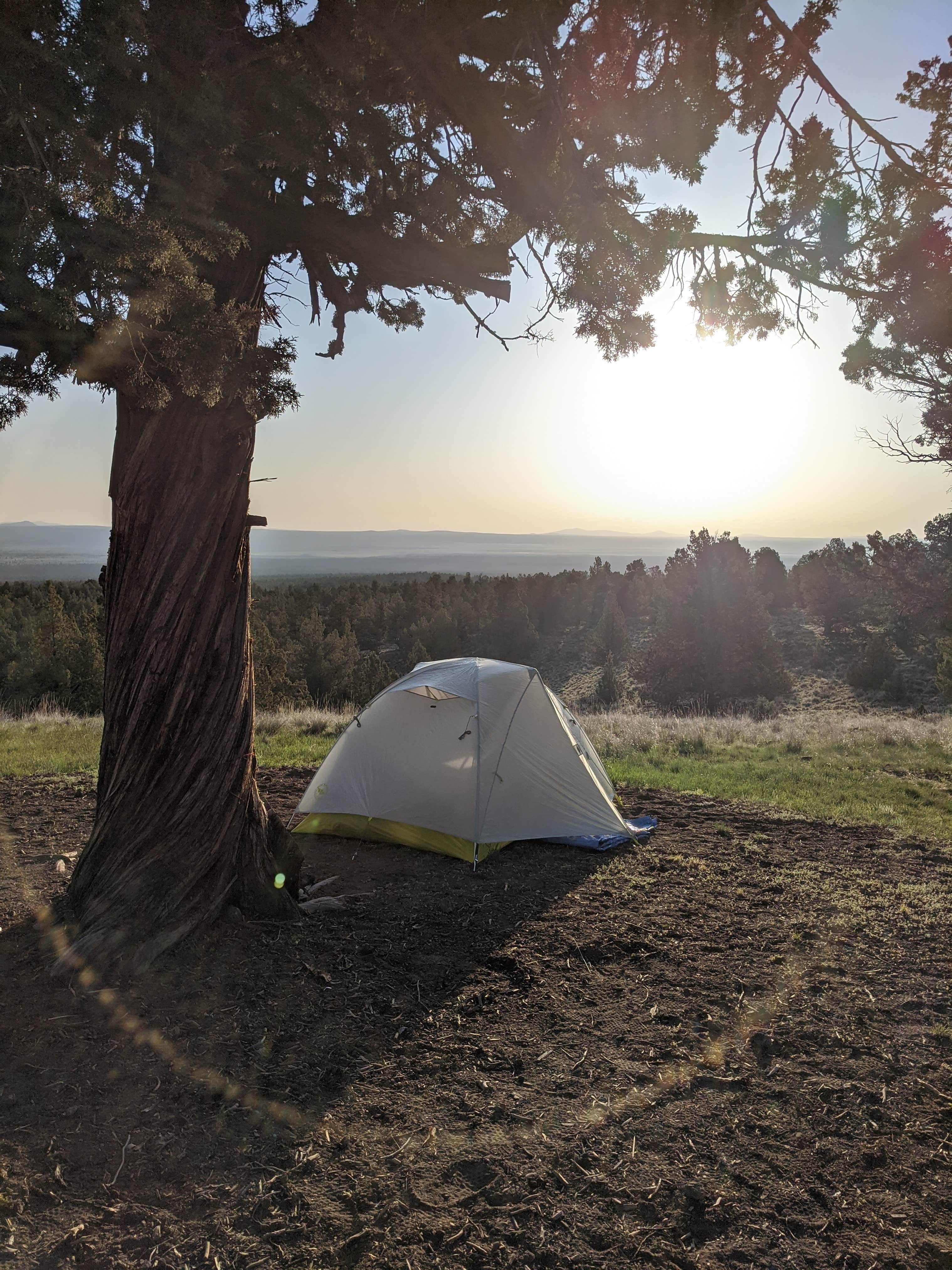 Jessica's photo of tent camping at Green Mountain Campground near Paisley, OR