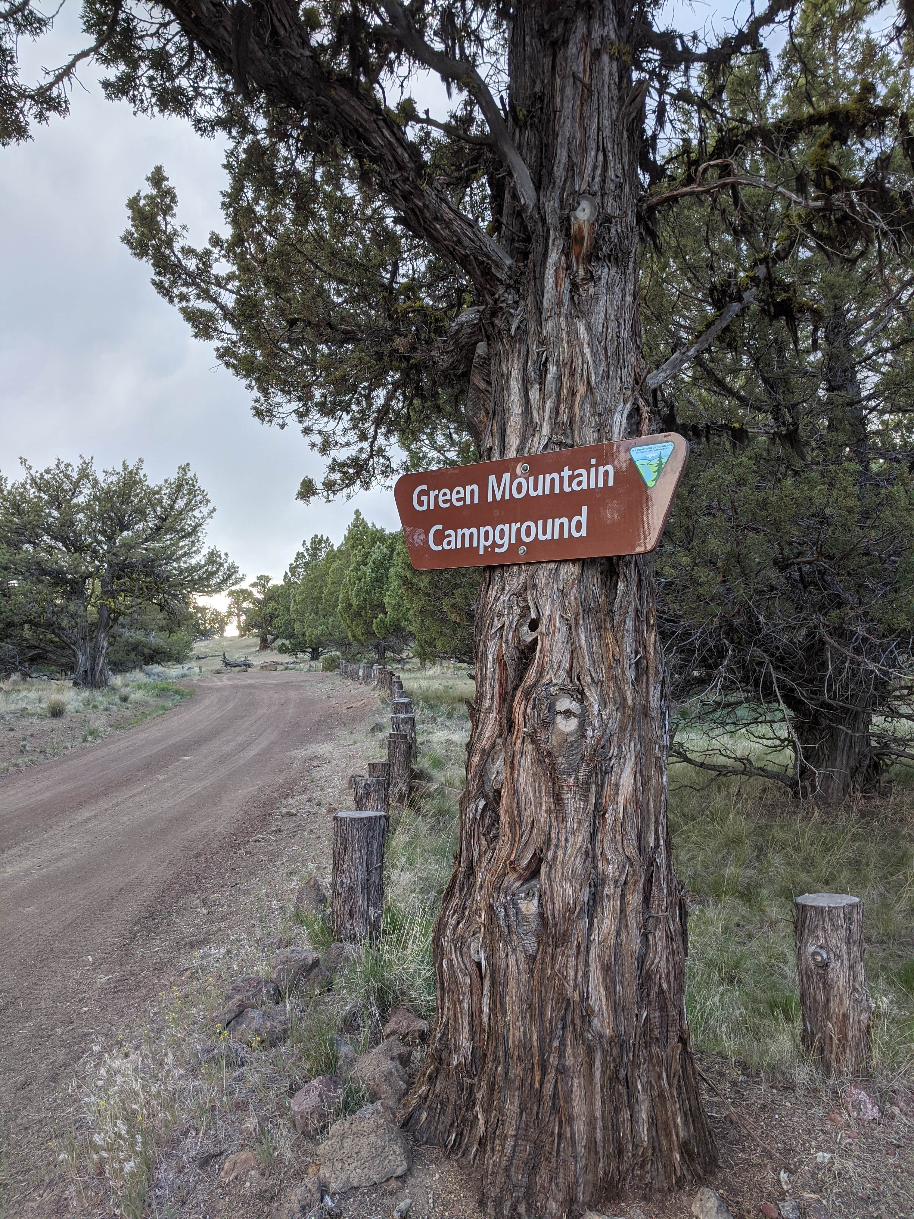 Camper-submitted photo at Green Mountain Campground near Christmas Valley, OR