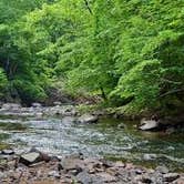 Review photo of Gunpowder Falls State Park - NO CAMPING by Kimberly Z., May 16, 2018