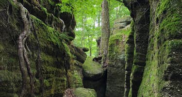 Nelson-Kennedy Ledges State Park