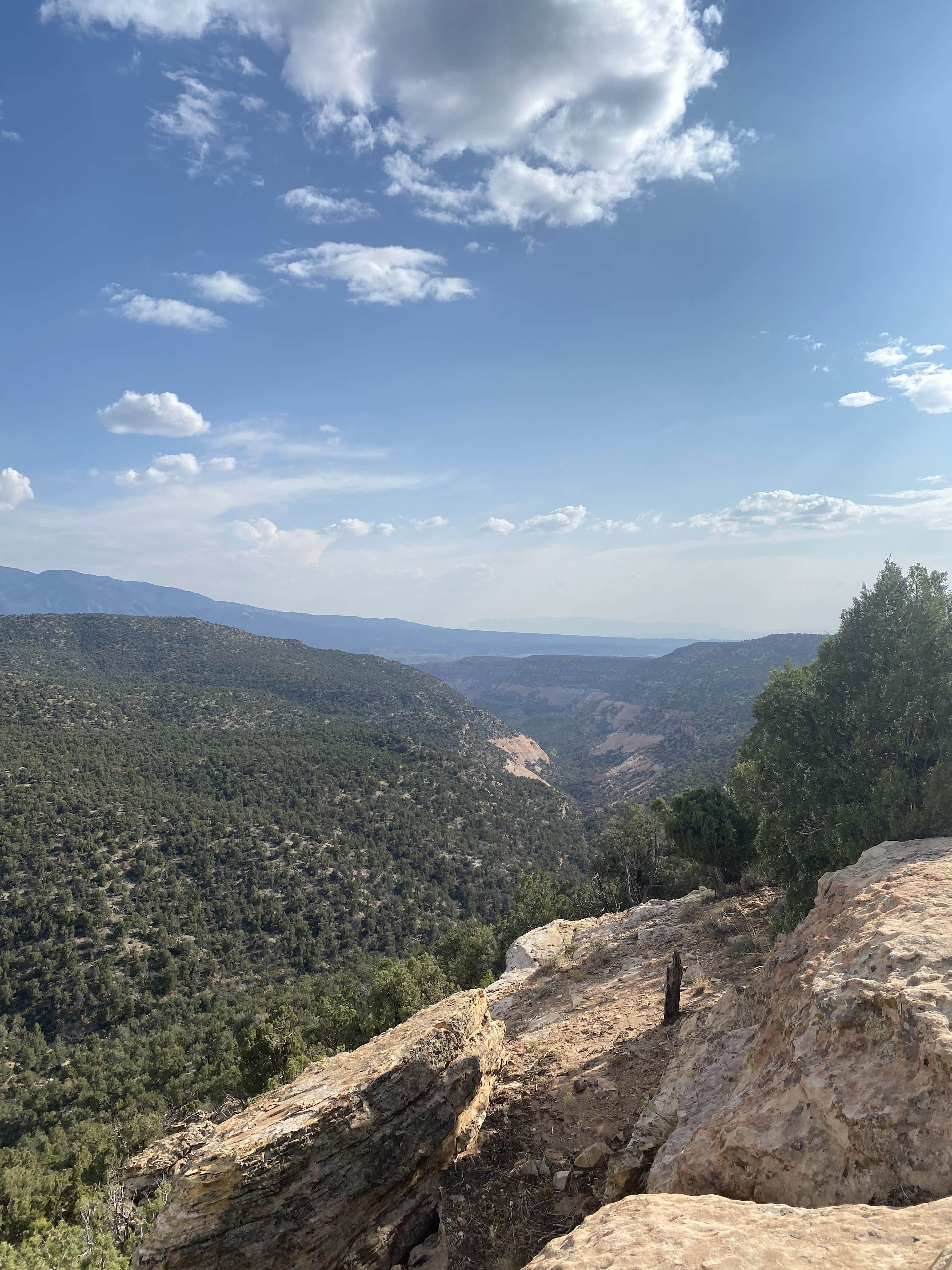 Camper submitted image from Canyons of the Ancients, Sand Canyon (Road 4725) - 2