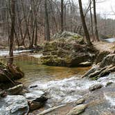 Review photo of Gunpowder Falls State Park - NO CAMPING by Kimberly Z., May 16, 2018