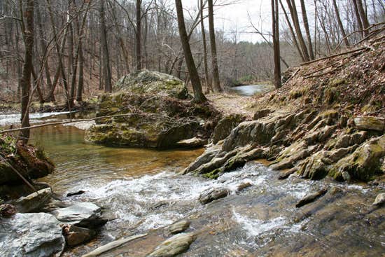 Camper submitted image from Gunpowder Falls State Park - NO CAMPING - 1