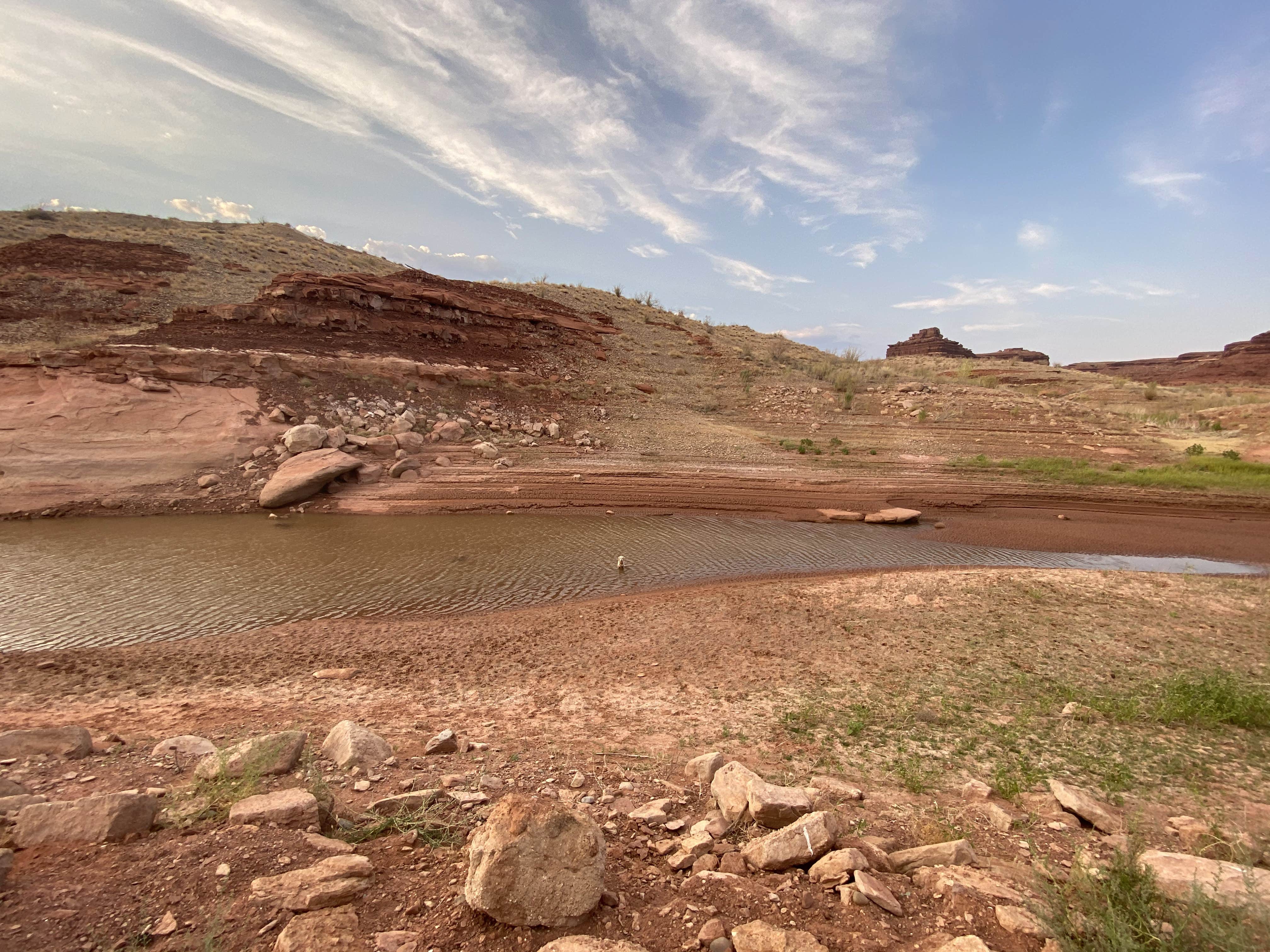 Camper submitted image from Lake Powell, Farley Canyon (primitive) - 3