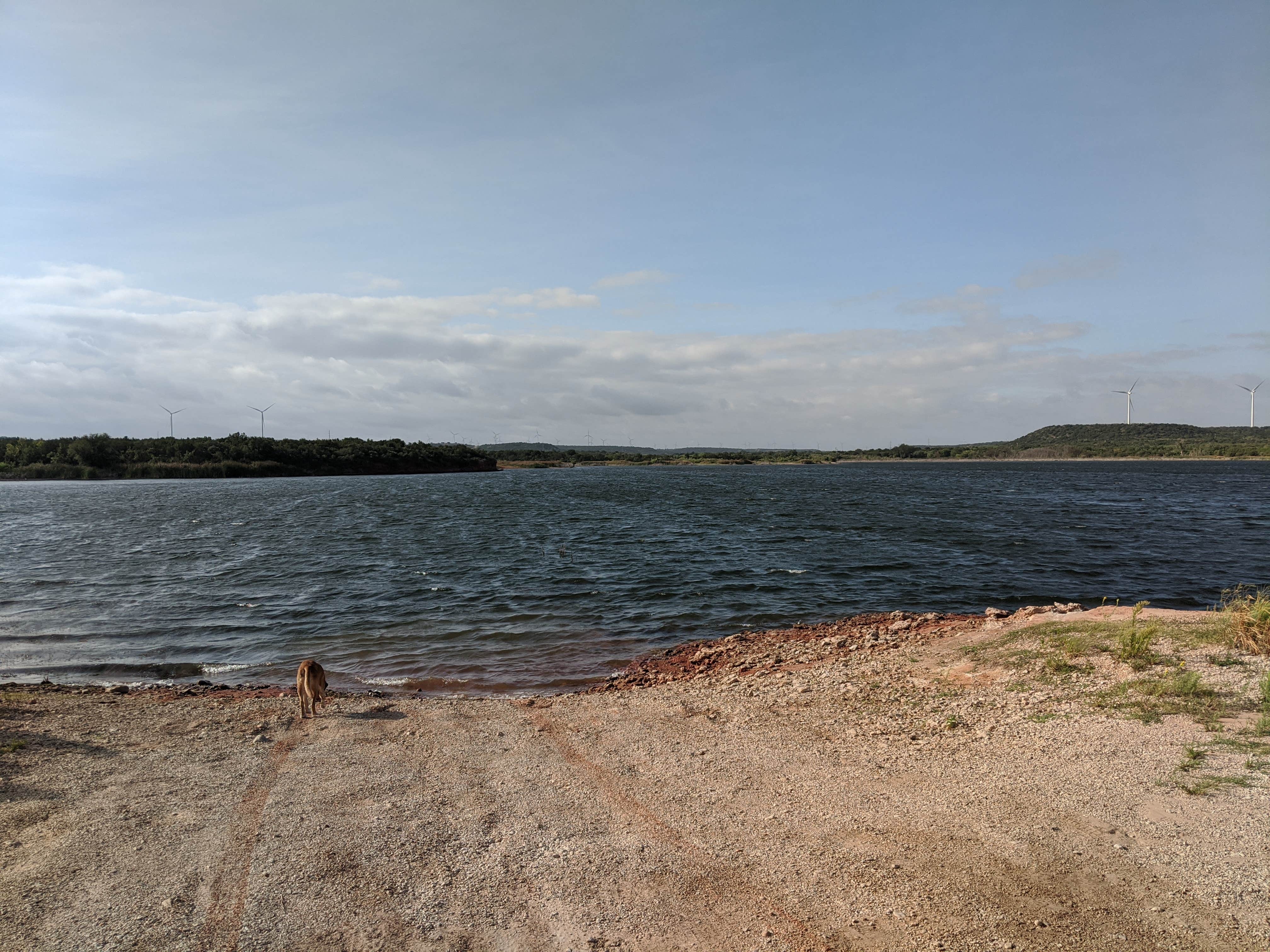 Jordon R.'s photo of a dispersed camping area at Lake Trammell Park in Texas