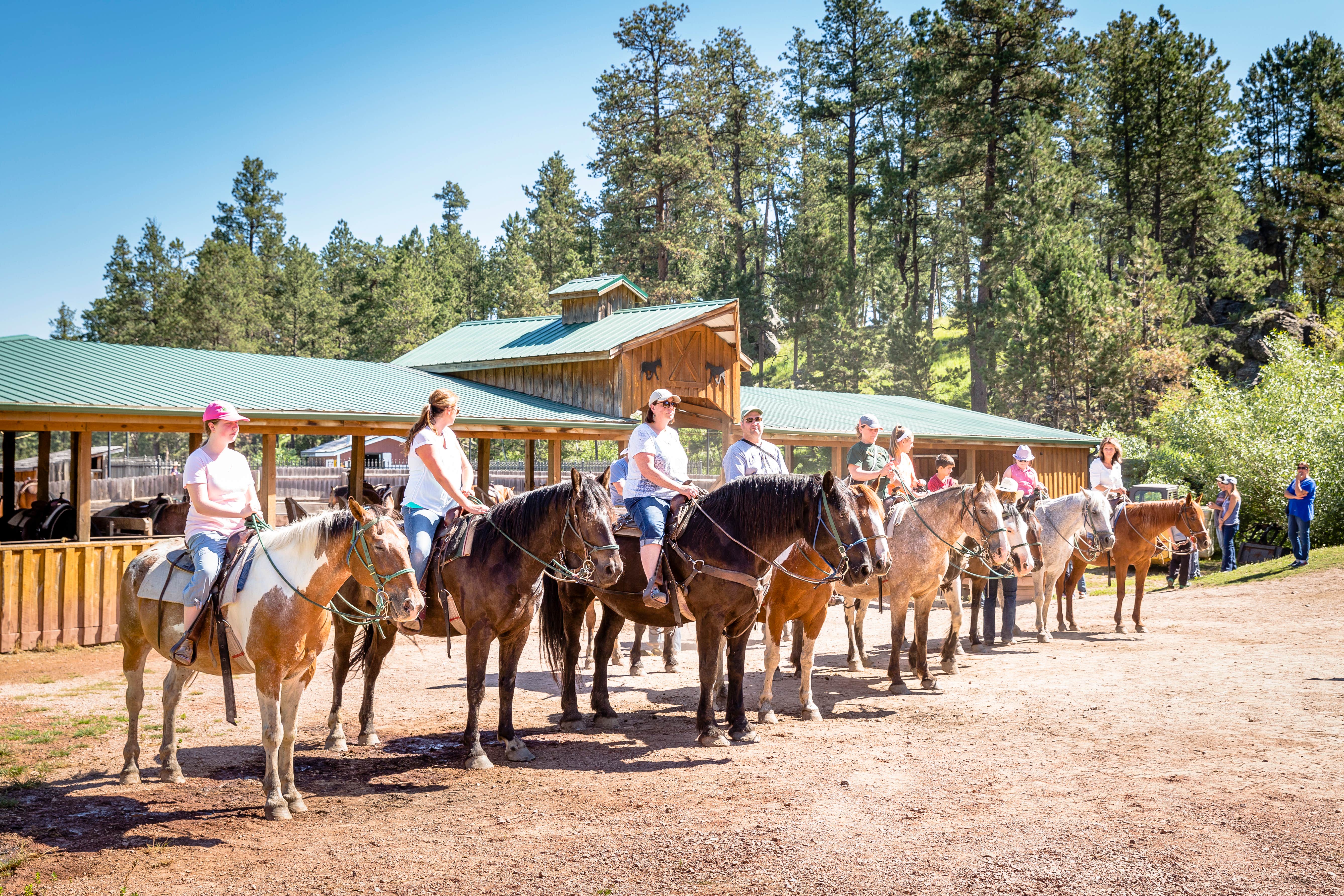 Nathan L.'s photo of camping with a horse at Mount Rushmore KOA at Palmer Gulch near Lead, SD