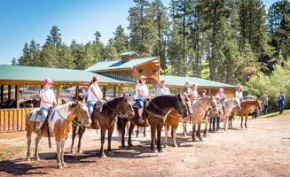 Nathan L.'s photo of camping with a horse at Mount Rushmore KOA at Palmer Gulch near Rapid City, SD
